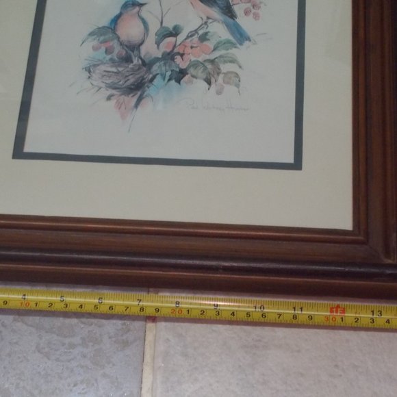 Gorgeous Bird print signed, matted & professionally framed in wood frame - Picture 4 of 6